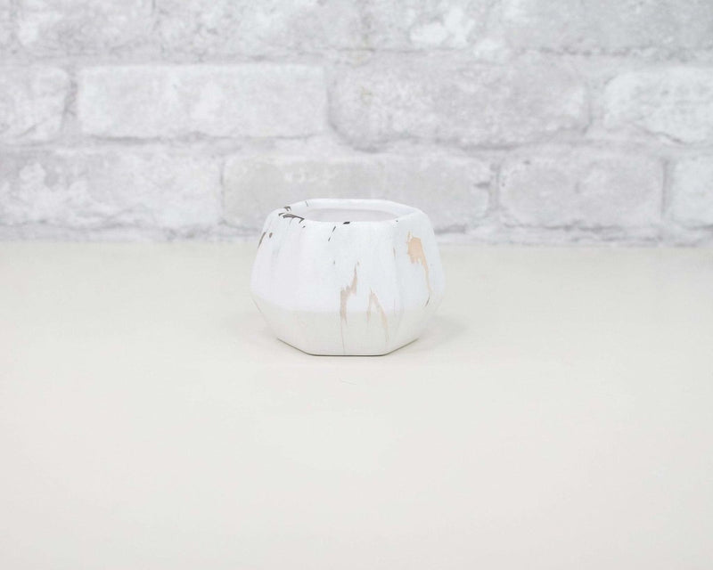 Modern Marbled Ceramic Pot - Sola Wood Flowers