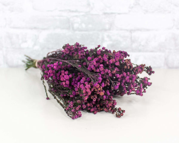 Pixie Cotton - Purple - Sola Wood Flowers