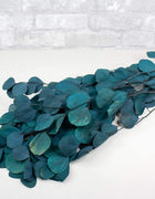 Preserved Silver Dollar Eucalyptus - Teal - Sola Wood Flowers