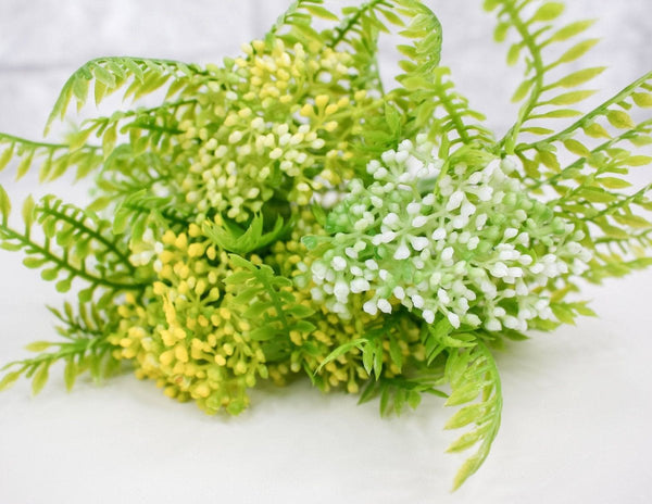 Skimmia Bush - White/Yellow - Sola Wood Flowers