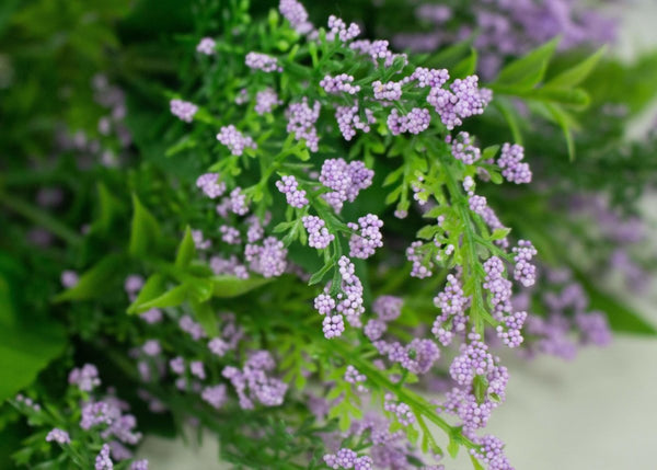 Spring Bush - Purple - Sola Wood Flowers