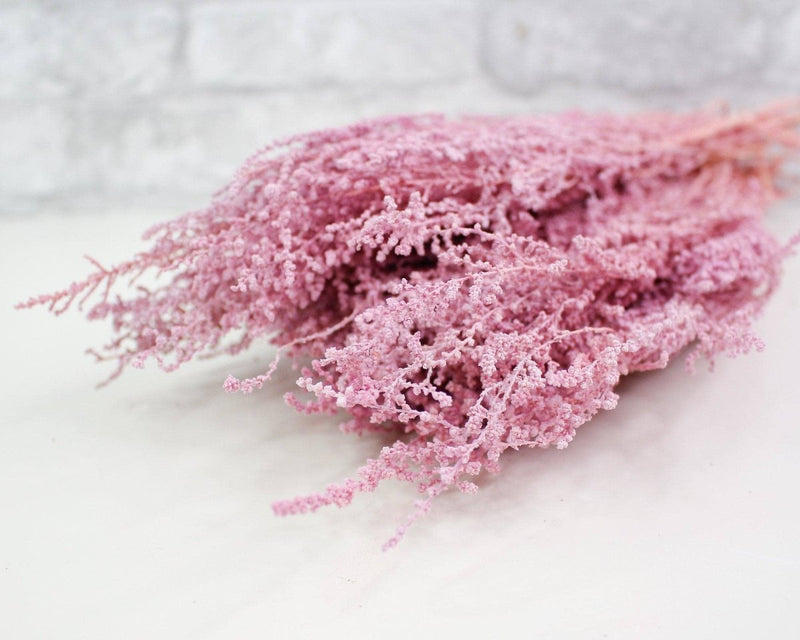 Stoebe - Light Pink - Sola Wood Flowers