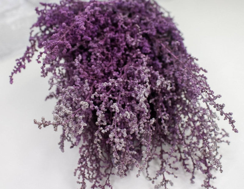 Stoebe - Violet - Sola Wood Flowers