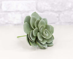 Succulent Hen and Chick - Dusty Green - Sola Wood Flowers