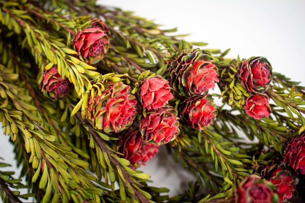 Tortum Female (Red) - Sola Wood Flowers