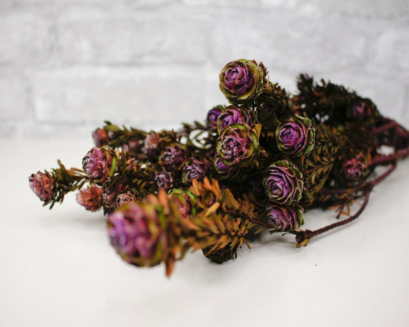 Tortum Female - Violet - Sola Wood Flowers