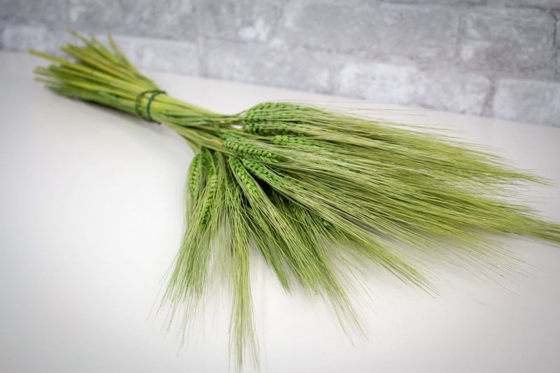 Triticum Wheat Grass (Green) - Sola Wood Flowers