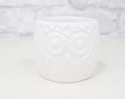 White Owl Ceramic Planter - Sola Wood Flowers